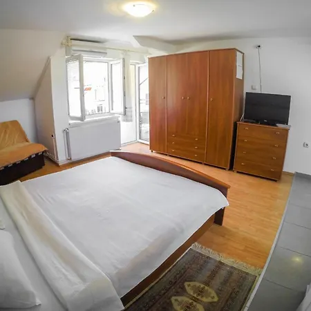 Apartmani.miletic 1 * Soko Banja
