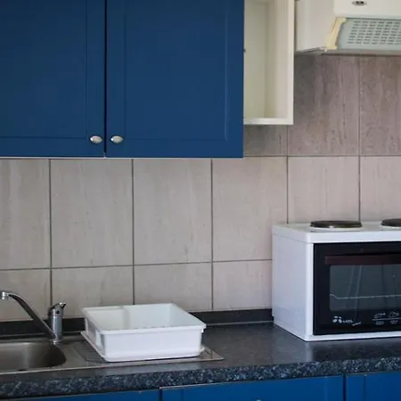 Apartmani.miletic 1 * Soko Banja