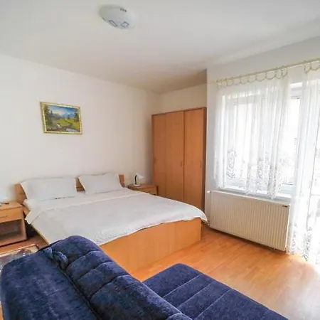 Apartmani.miletic 1 Апартаменты Сокобаня