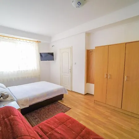 Apartmani.miletic 1 Apartament Soko Banja
