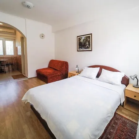 Apartmani.miletic 1 Апартаменты Сокобаня