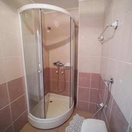 Апартаменты Apartmani.miletic 1 Сокобаня