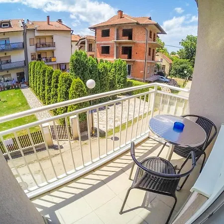 Apartmani.miletic 1 Апартаменты Сокобаня