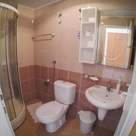 Apartmani.miletic 1 * Soko Banja